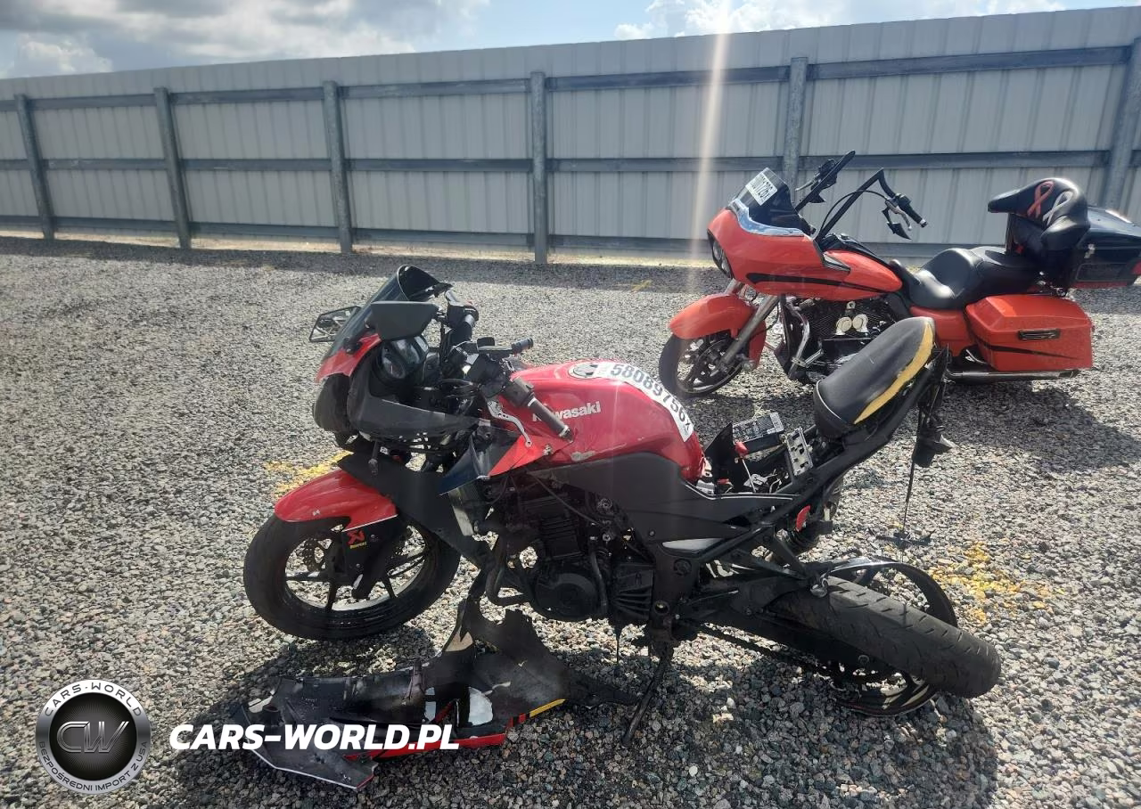 2010 Kawasaki Ex250 J VIN:JKAEXMJ11ADA69089 - 3