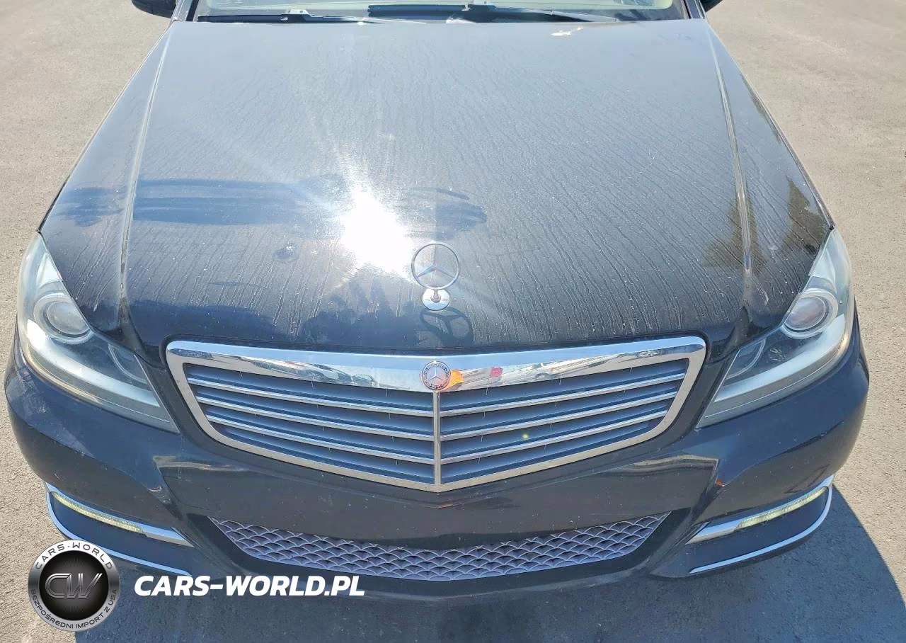 2014 Mercedes-Benz C 250 VIN:WDDGF4HB4EG158968 - 11