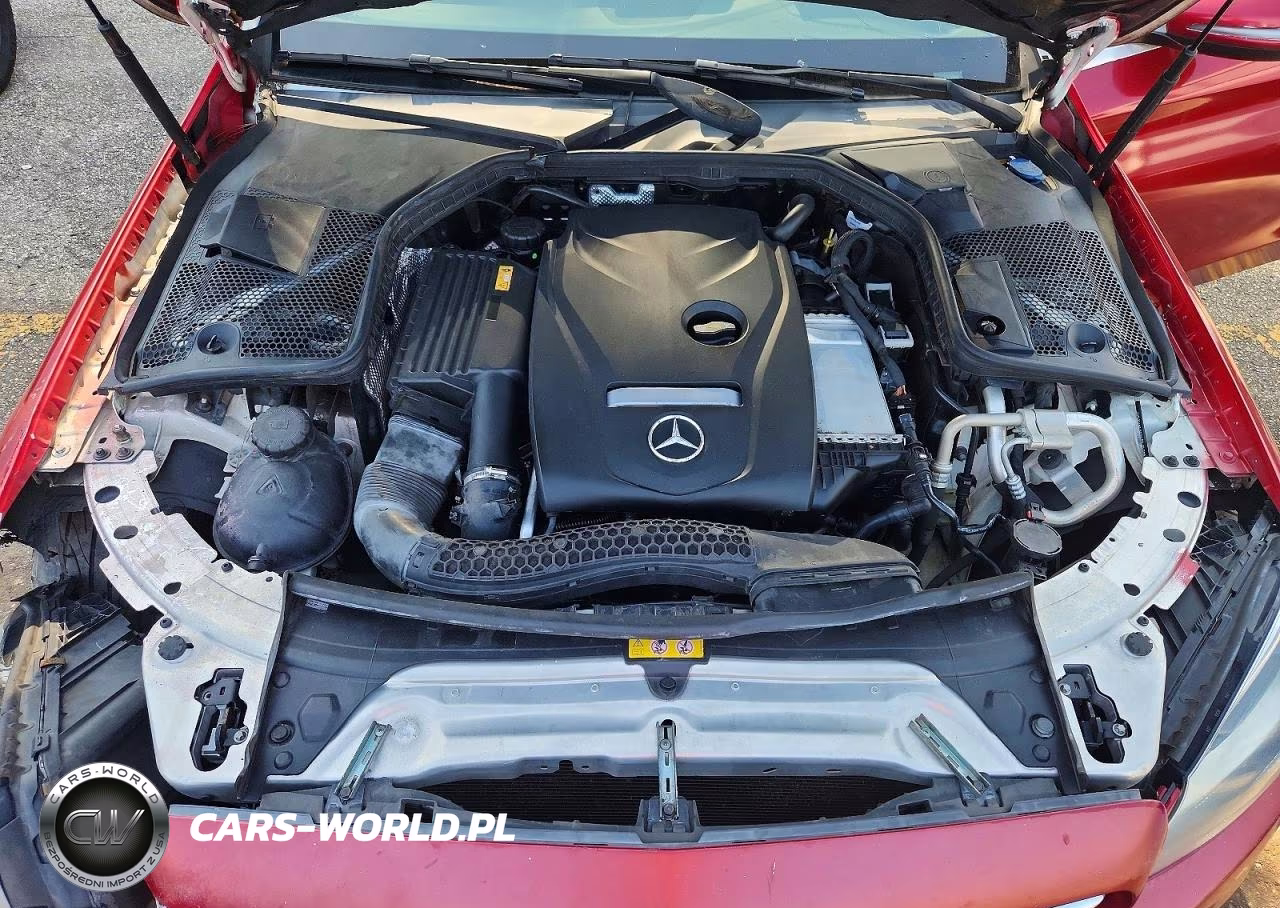 2017 Mercedes-Benz C 300 VIN:55SWF4JB7HU196580 - 11