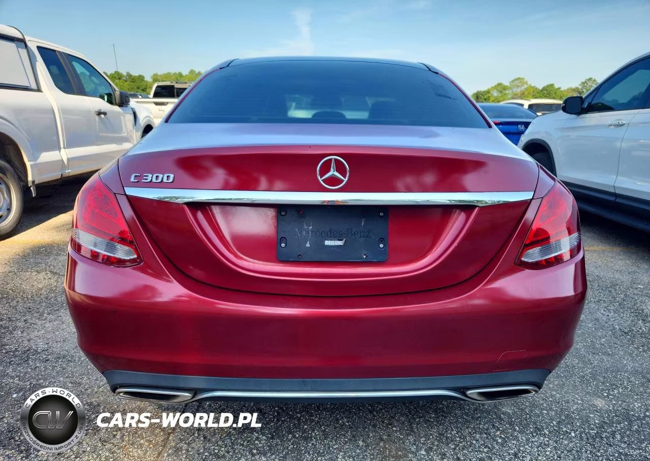 2017 Mercedes-Benz C 300 VIN:55SWF4JB7HU196580 - 6