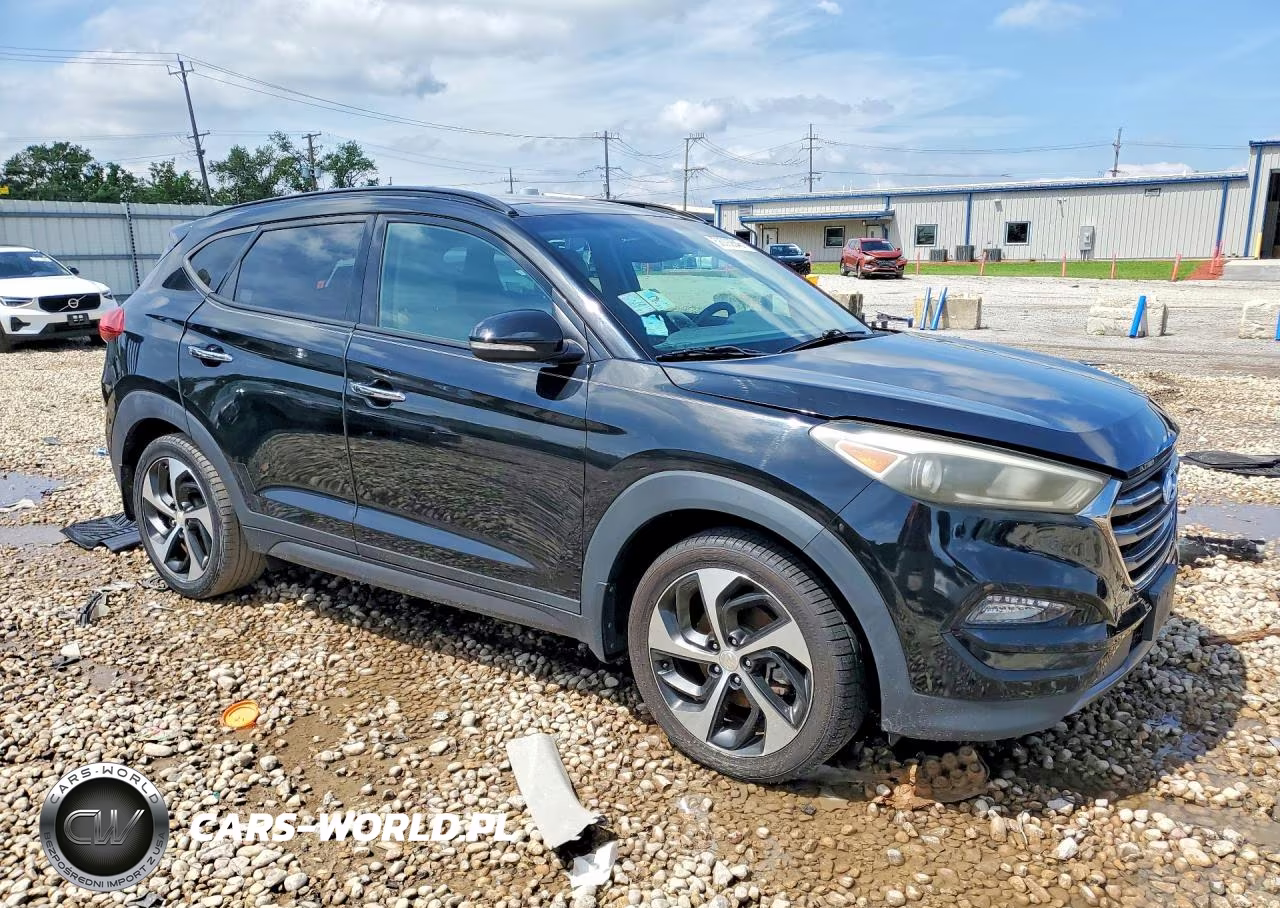 2016 Hyundai Tucson Limited VIN:KM8J33A28GU145833 - 4