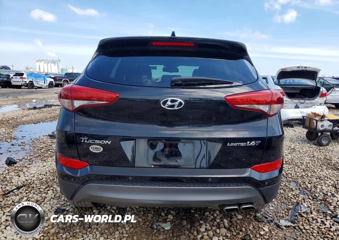 2016 Hyundai Tucson Limited VIN:KM8J33A28GU145833 - 6