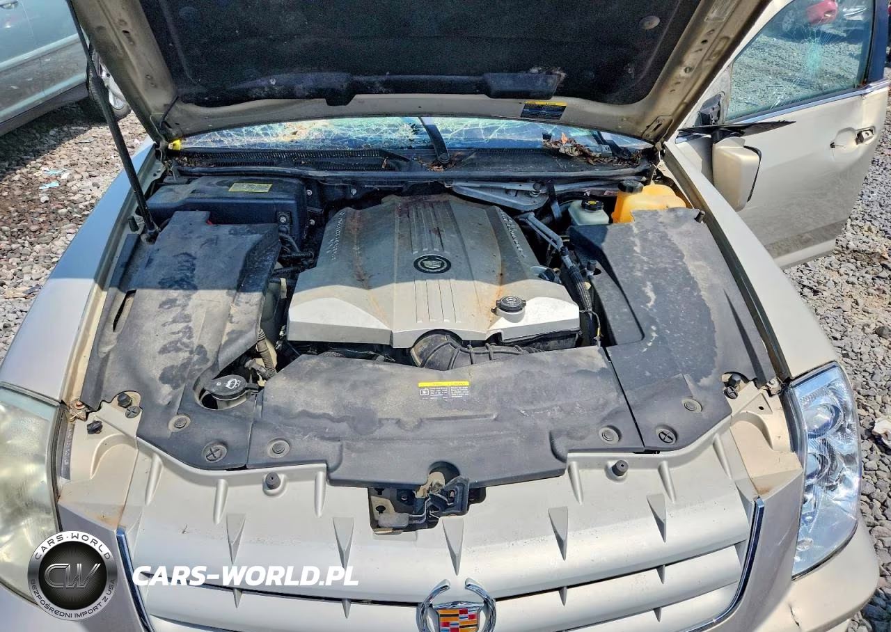 2007 Cadillac Sts VIN:1G6DC67A370192862 - 11