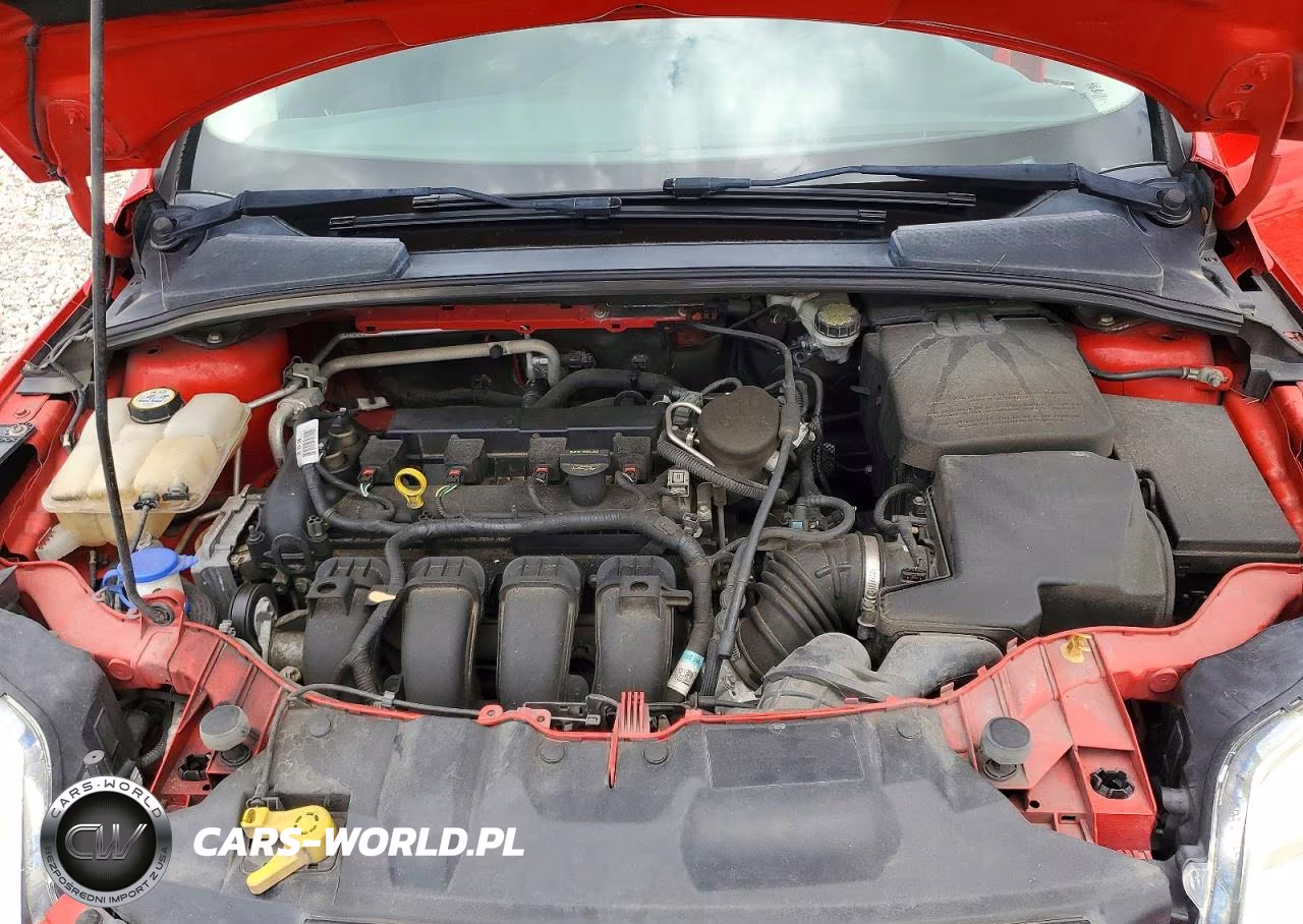 2013 Ford Focus Se VIN:1FADP3F22DL243617 - 11