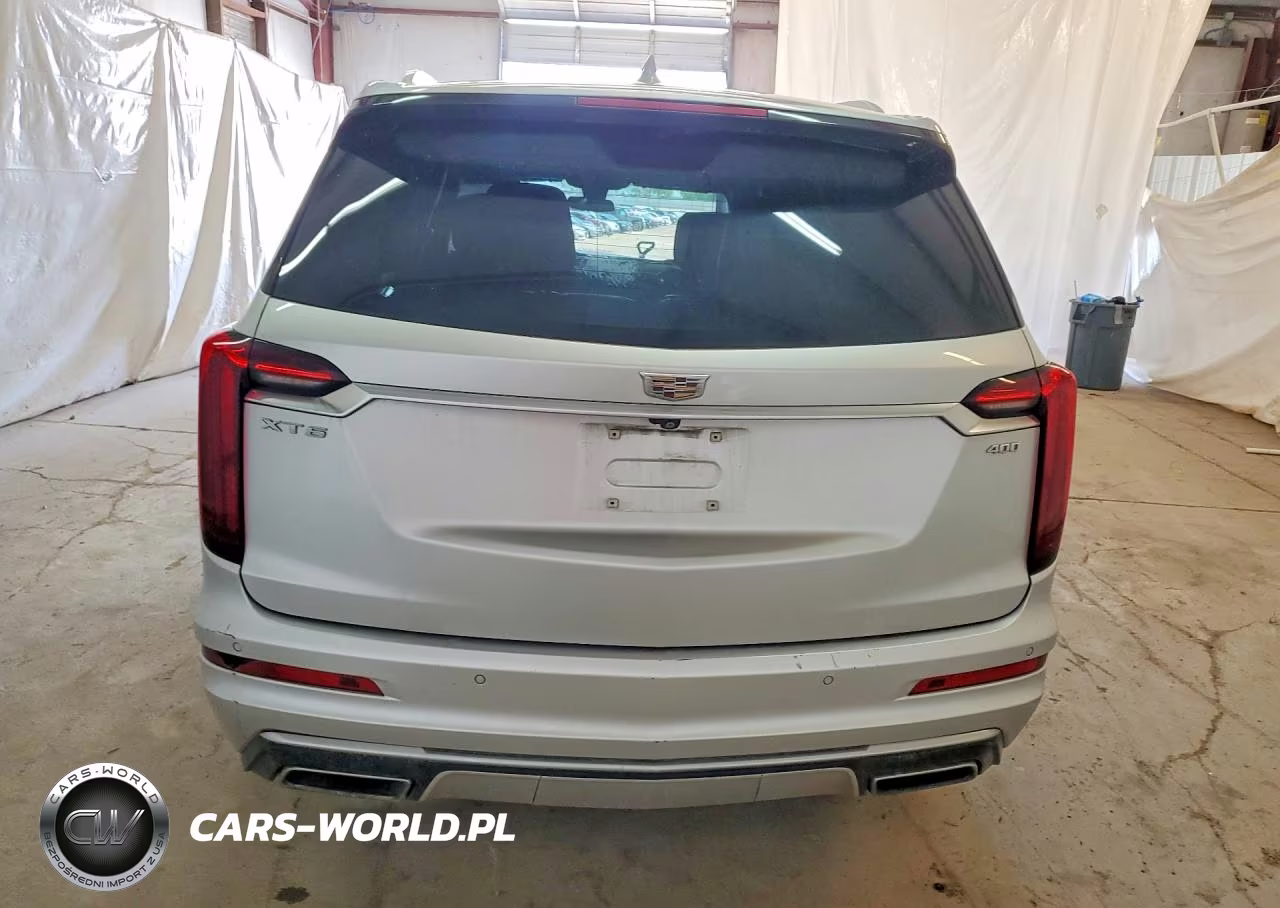 2020 Cadillac Xt6 Premium Luxury VIN:1GYKPCRSXLZ100613 - 6