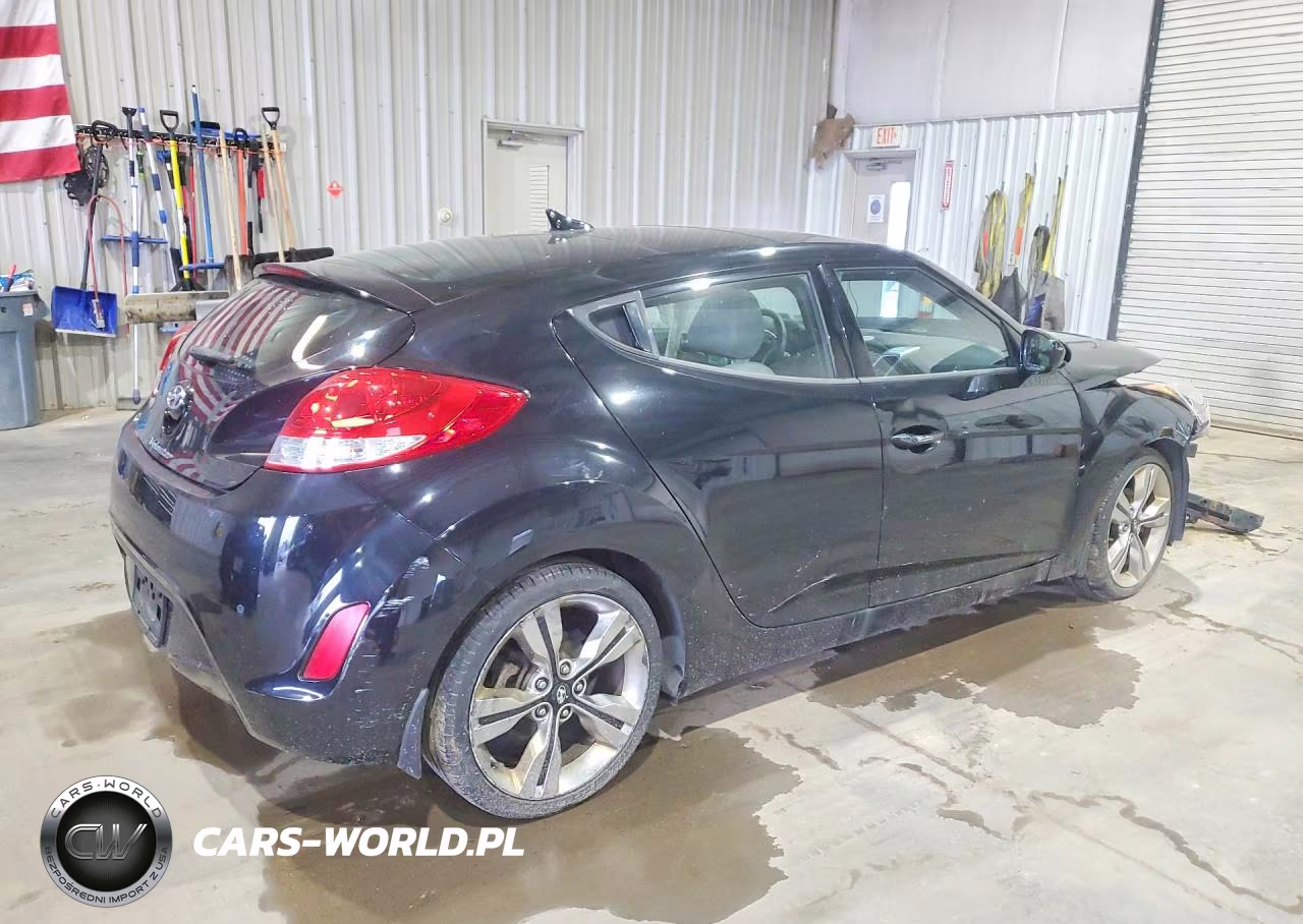 2013 Hyundai Veloster Base VIN:KMHTC6AD9DU117529 - 3