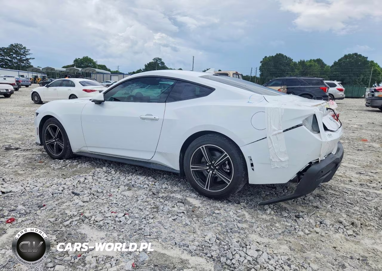 2024 Ford Mustang VIN:1FA6P8TH4R5143402 - 2