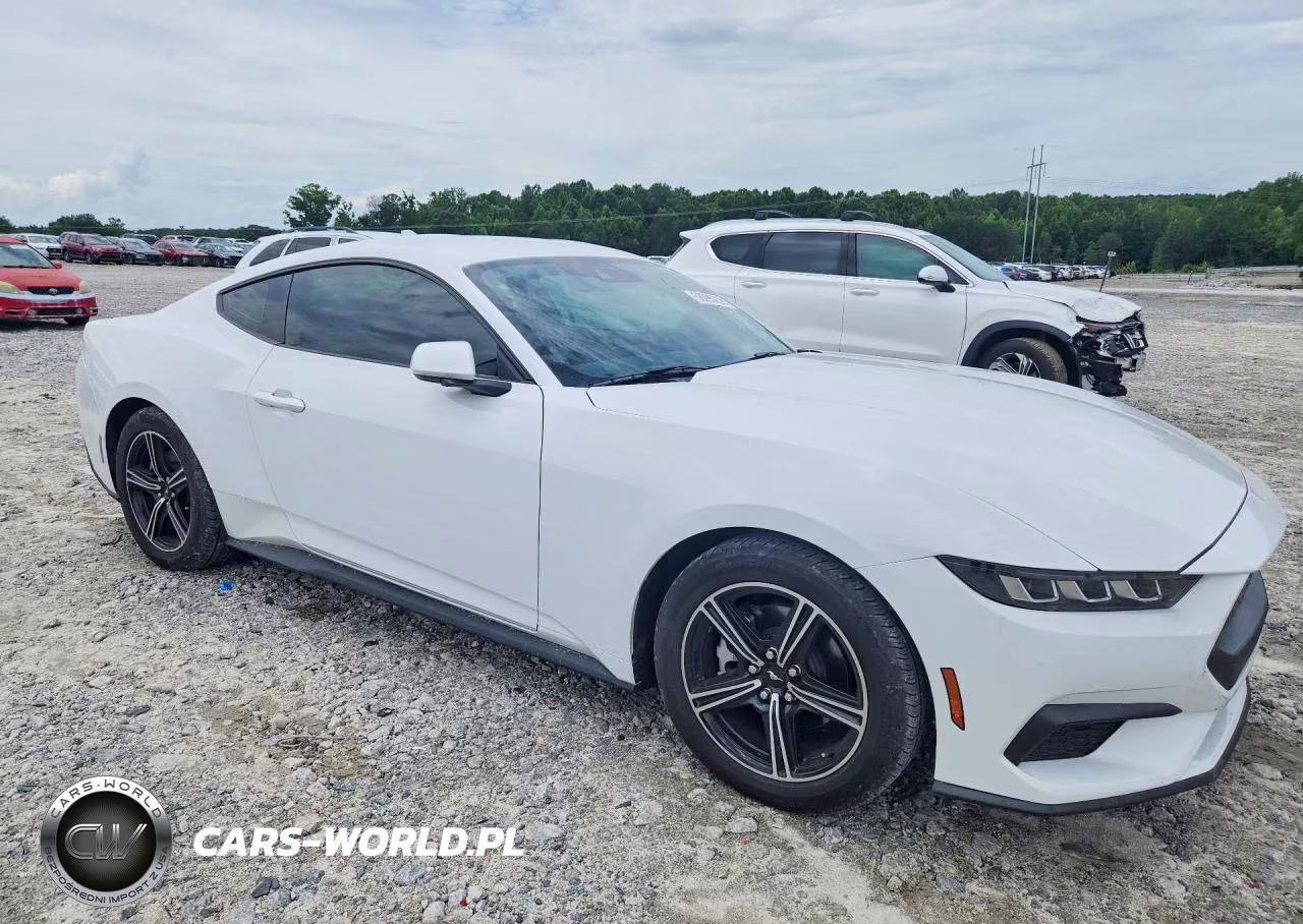 2024 Ford Mustang VIN:1FA6P8TH4R5143402 - 4