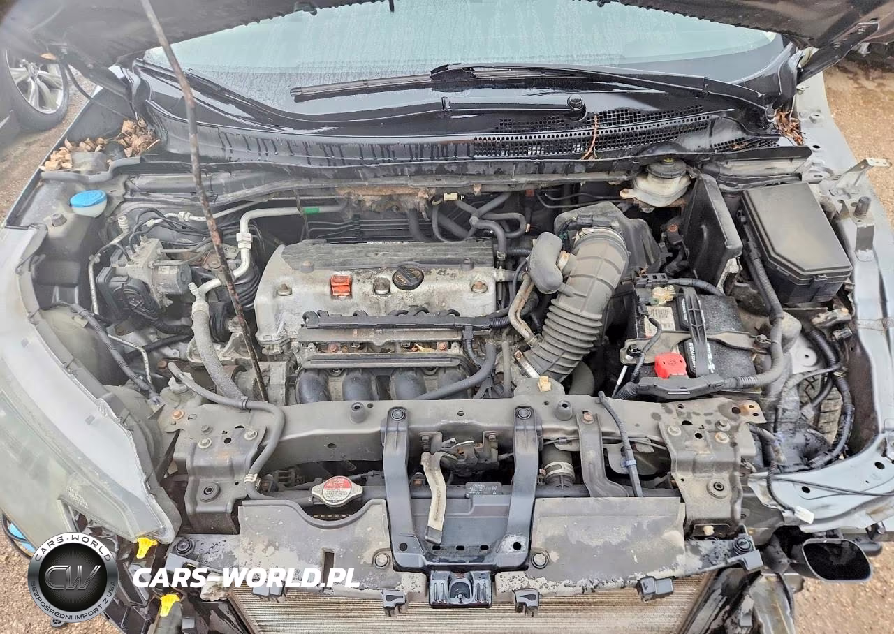 2014 Honda Cr-V Exl VIN:5J6RM4H70EL084194 - 11