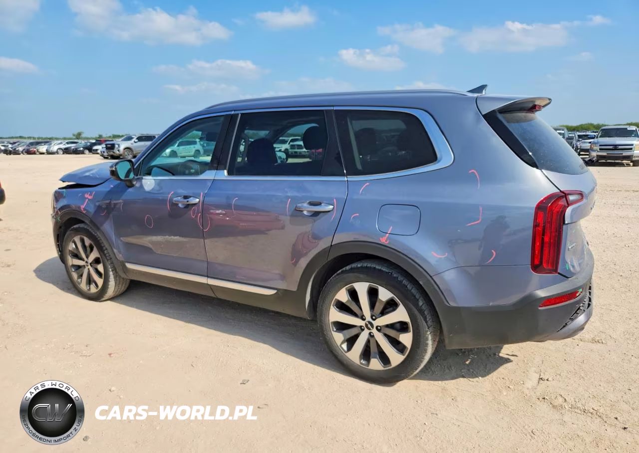 2022 Kia Telluride S VIN:5XYP6DHC3NG304007 - 2