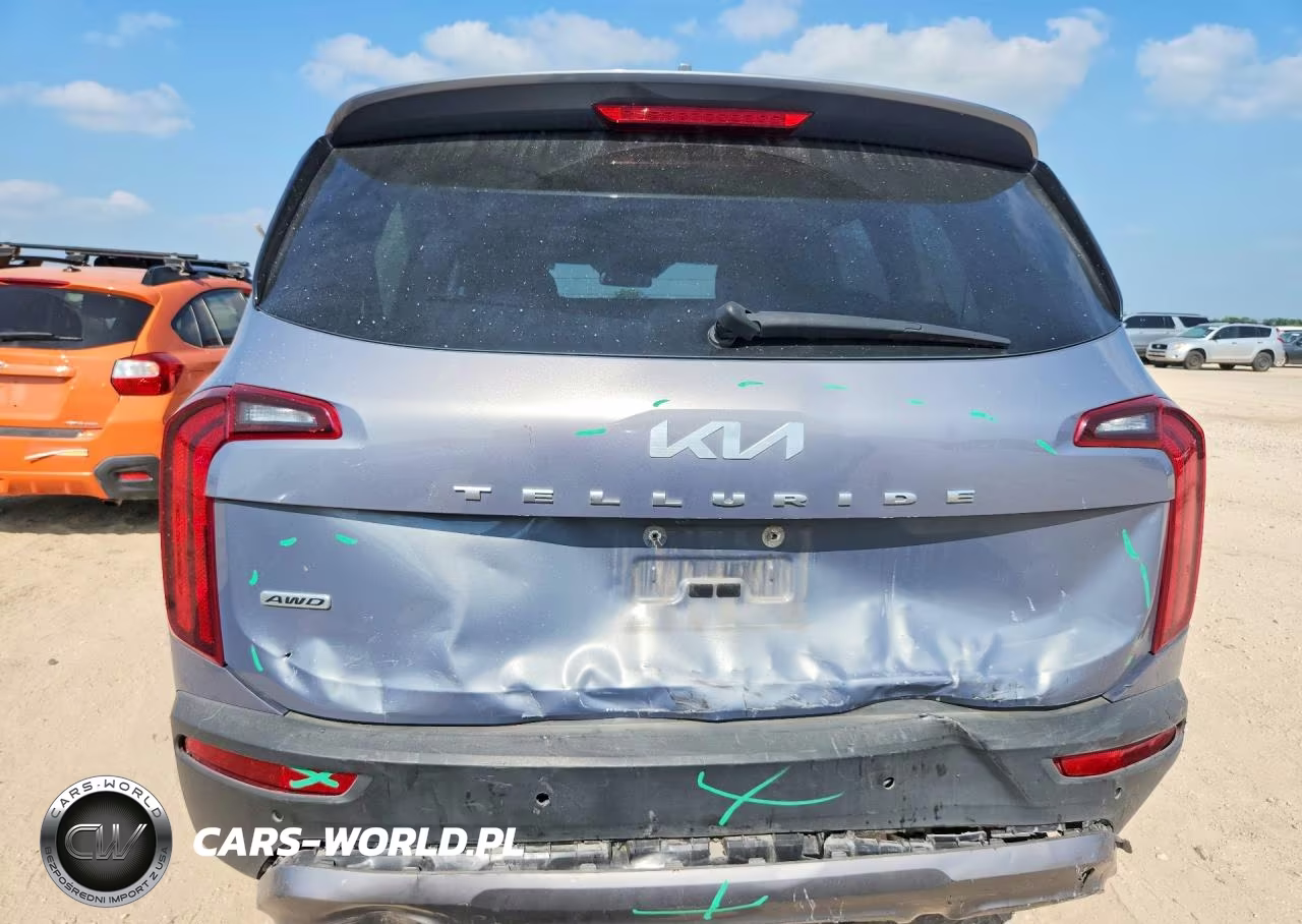 2022 Kia Telluride S VIN:5XYP6DHC3NG304007 - 6