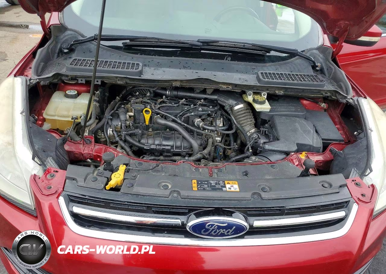 2014 Ford Escape VIN:1FMCU0JX3EUB69227 - 12