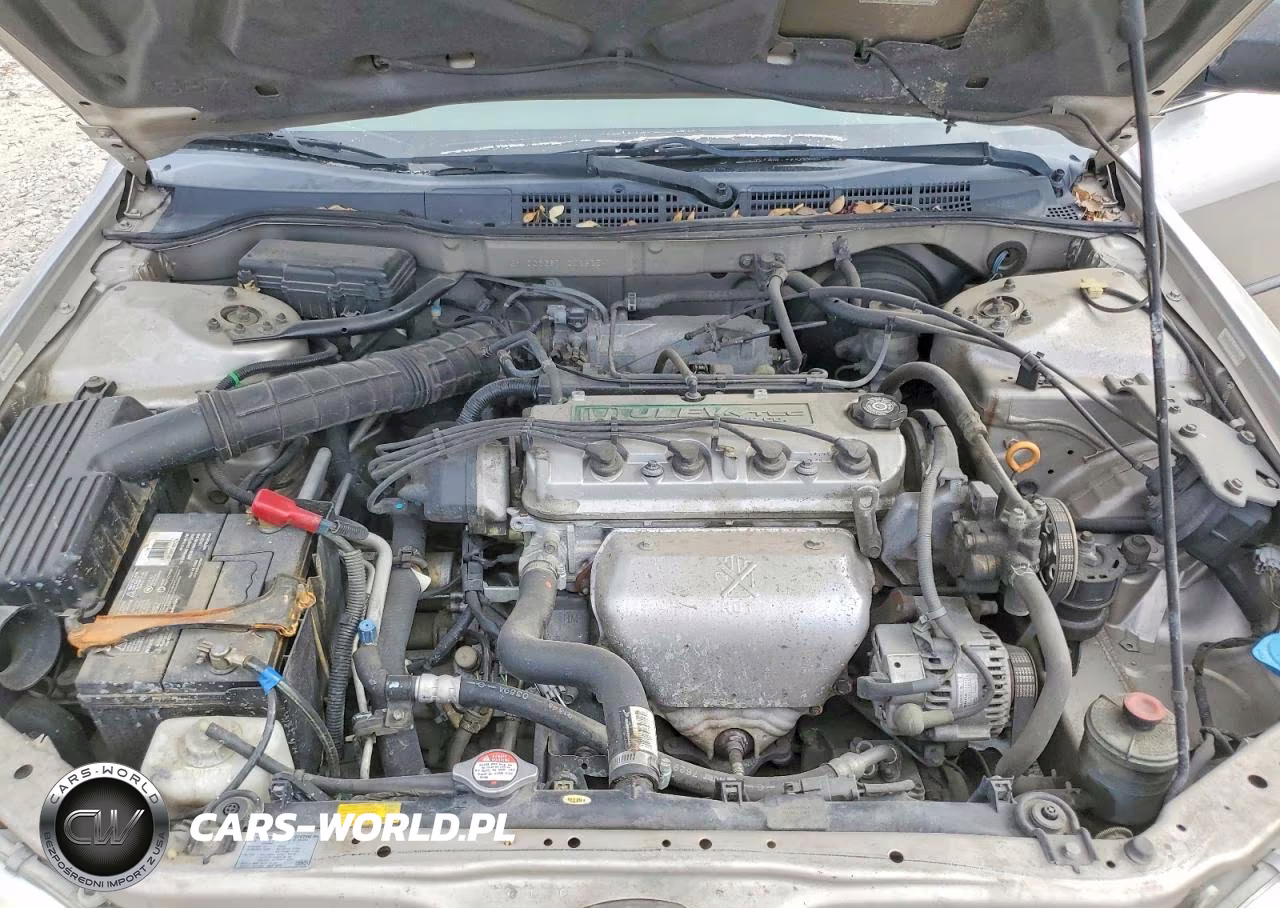 1999 Honda Accord Lx VIN:JHMCG6657XC028254 - 11