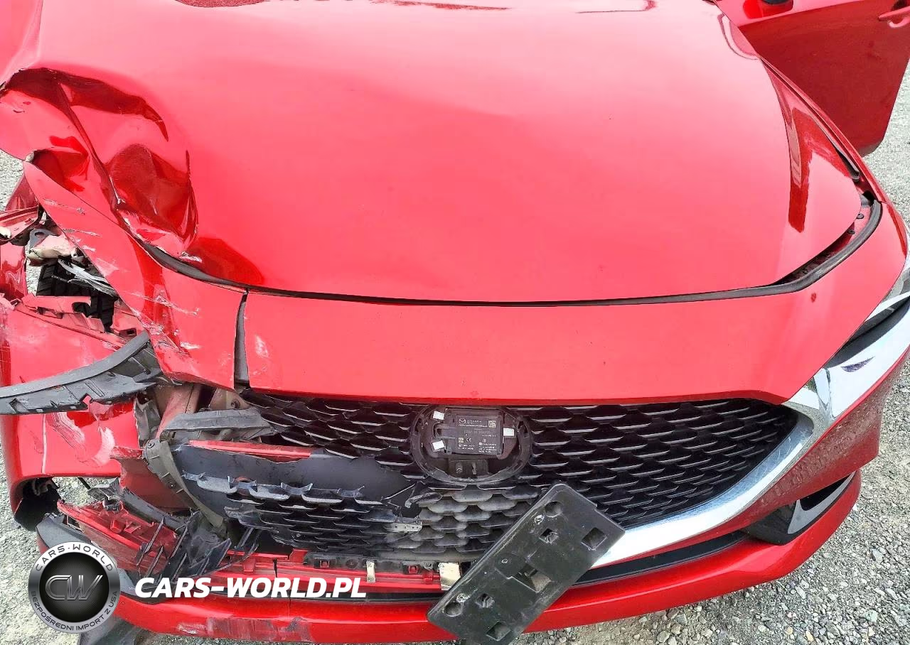 2019 Mazda 3 Premium VIN:3MZBPAEMXKM103168 - 11