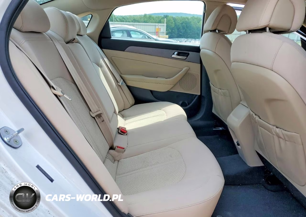 2016 Hyundai Sonata Eco VIN:5NPE24AA7GH266031 - 10