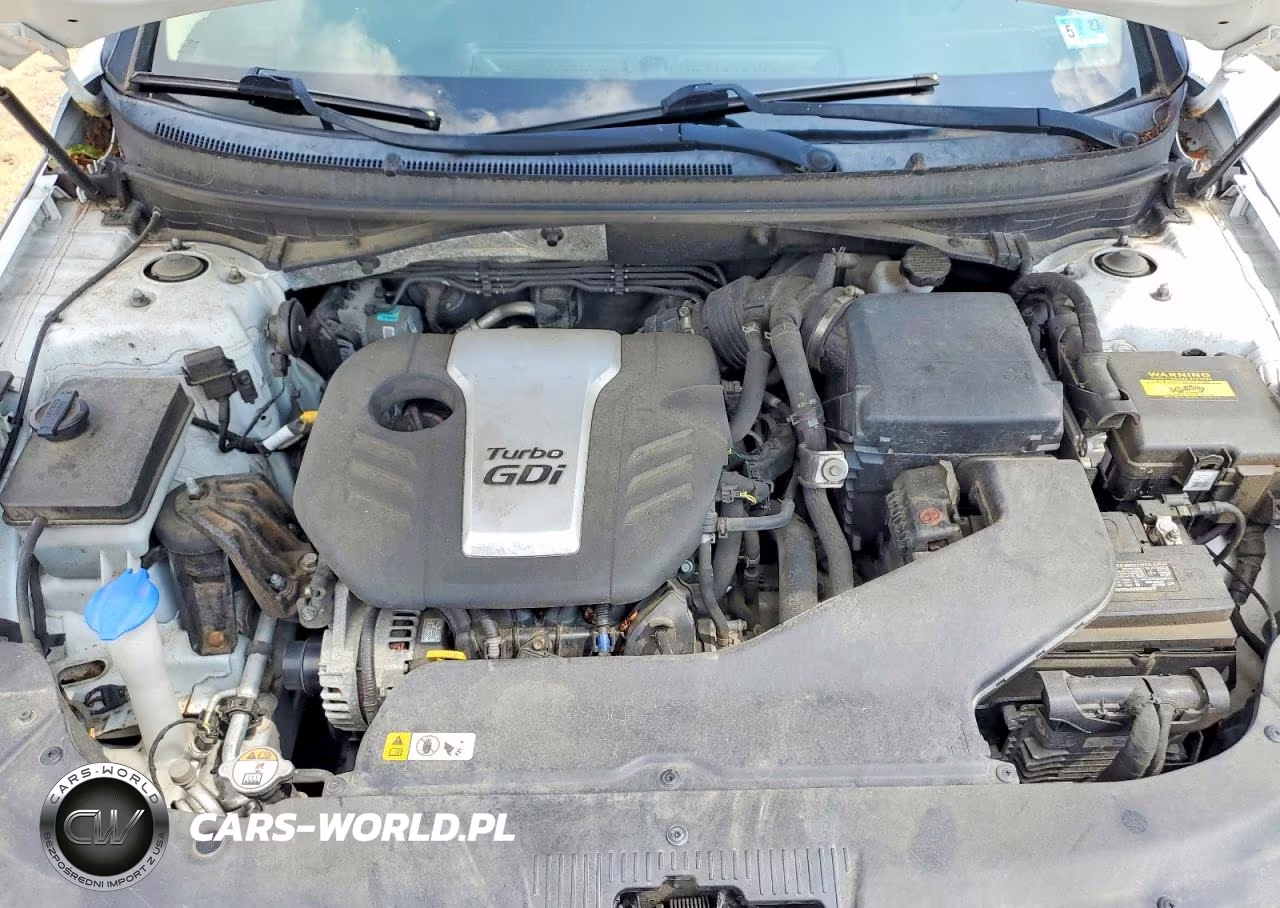2016 Hyundai Sonata Eco VIN:5NPE24AA7GH266031 - 11