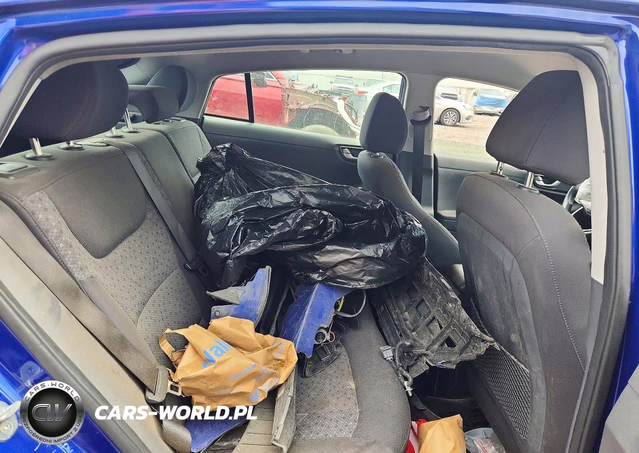 2019 Hyundai Ioniq Blue VIN:KMHC65LC4KU179066 - 10