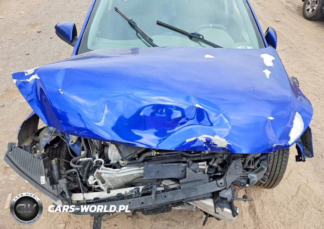 2019 Hyundai Ioniq Blue VIN:KMHC65LC4KU179066 - 11