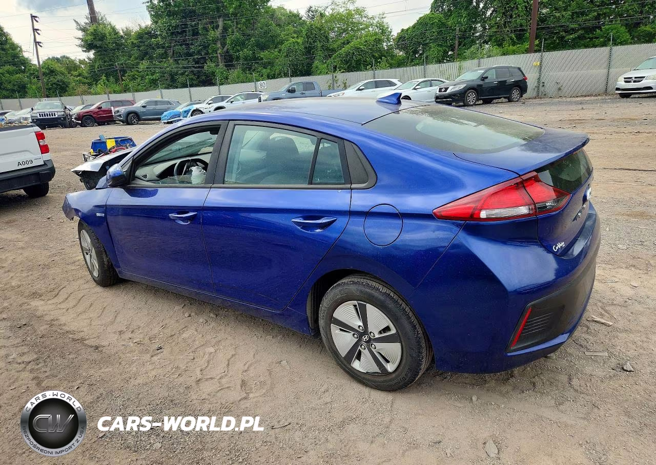 2019 Hyundai Ioniq Blue VIN:KMHC65LC4KU179066 - 2