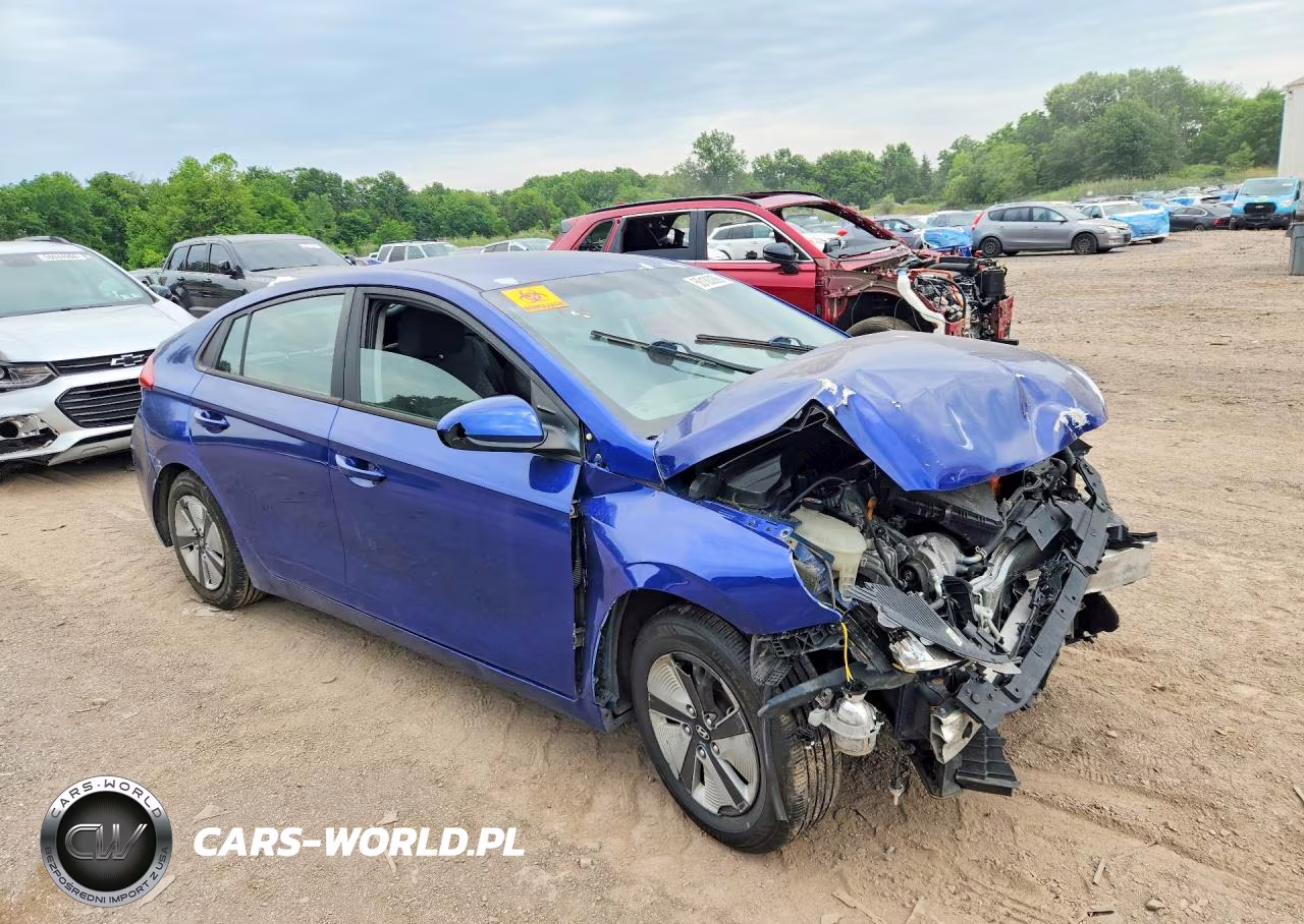 2019 Hyundai Ioniq Blue VIN:KMHC65LC4KU179066 - 4