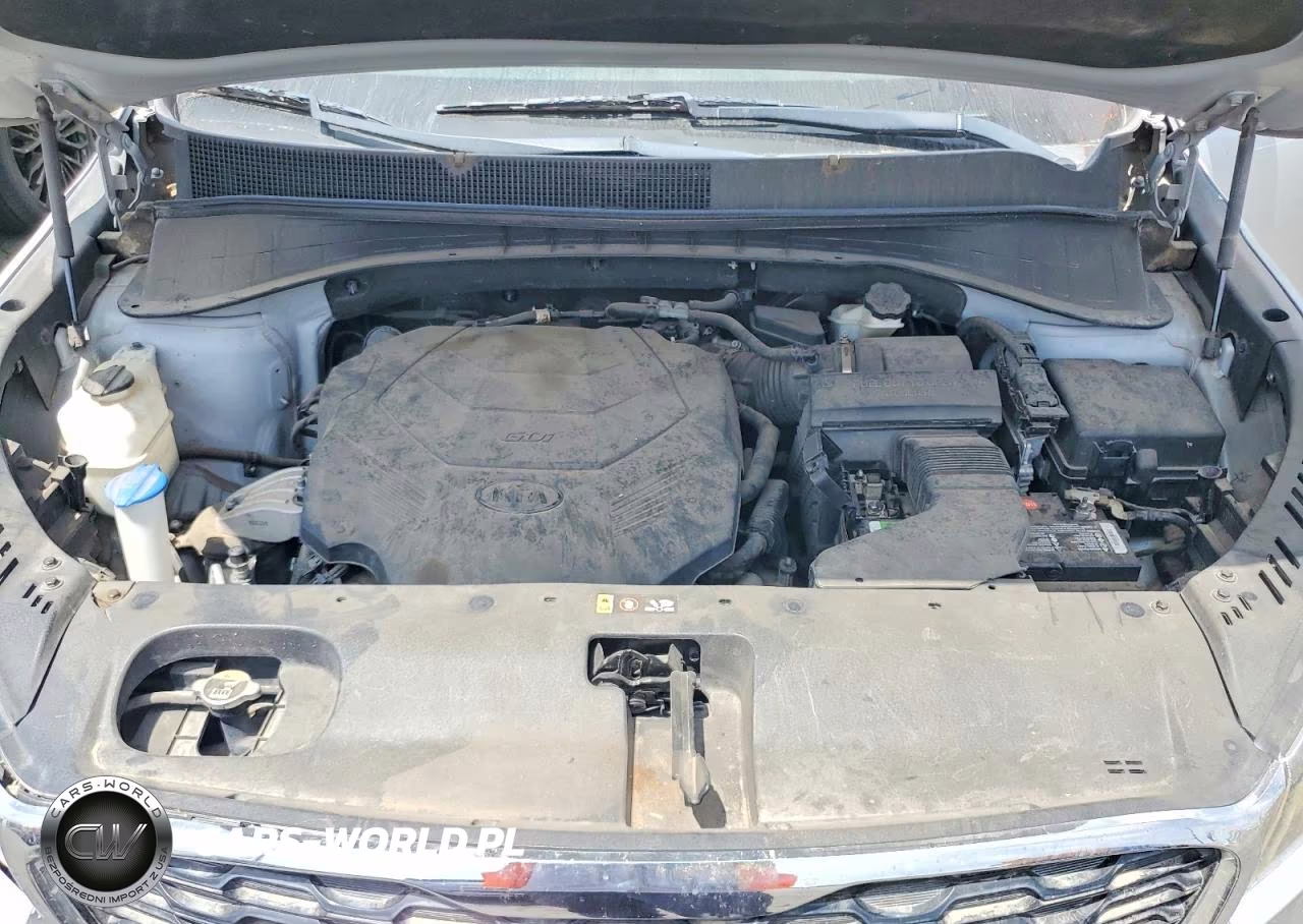 2019 Kia Sorento Lx V6 VIN:5XYPG4A54KG490709 - 12