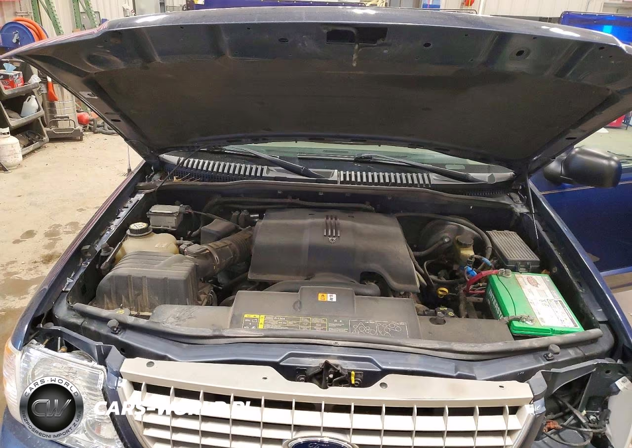 2002 Ford Explorer Eddie Bauer VIN:1FMZU74W02ZA82843 - 12