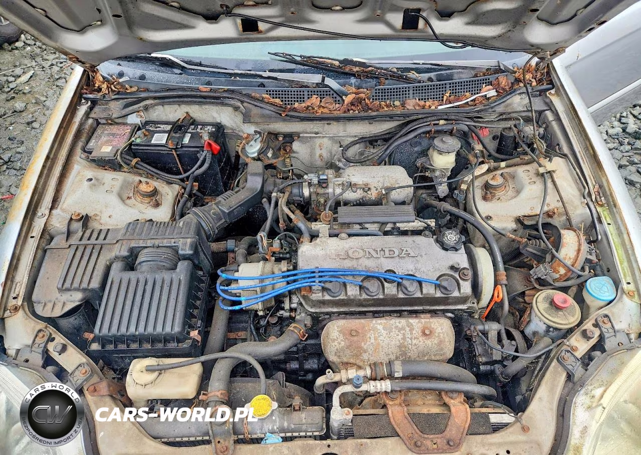 2000 Honda Civic Ex VIN:1HGEJ8241YL116756 - 11