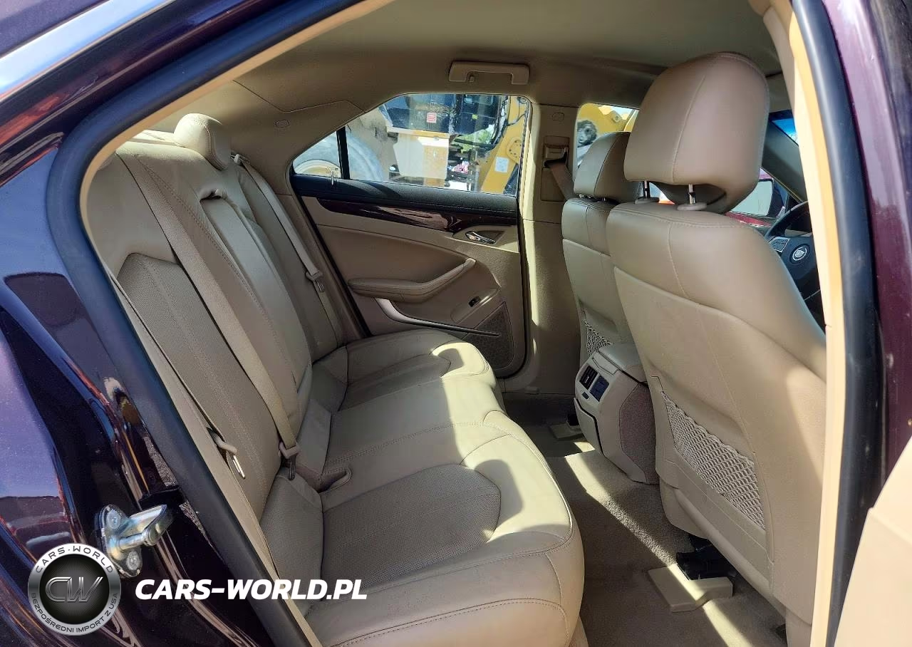 2010 Cadillac Cts Luxury Collection VIN:1G6DE5EG7A0142629 - 10