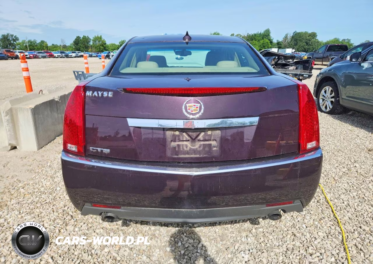 2010 Cadillac Cts Luxury Collection VIN:1G6DE5EG7A0142629 - 6