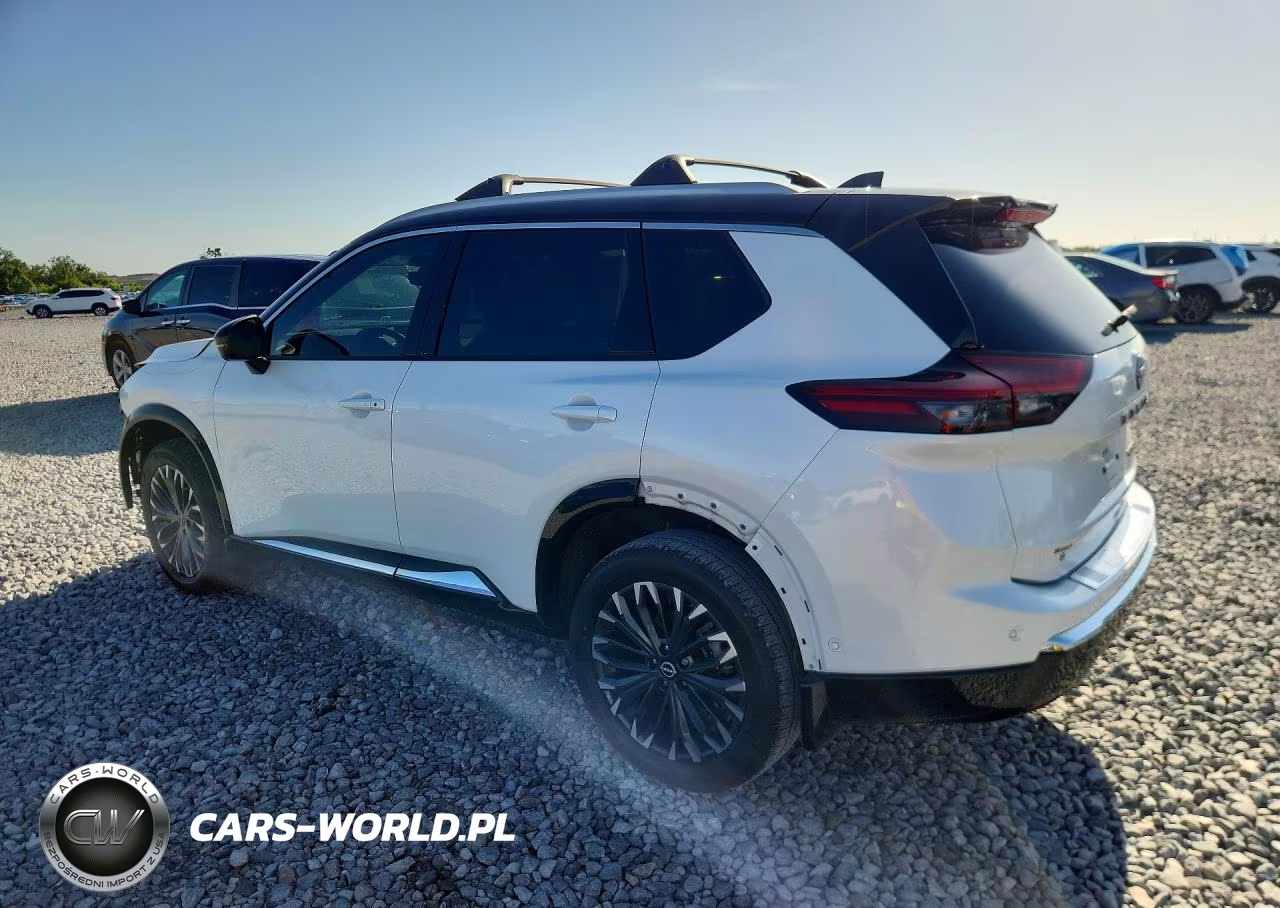 2024 Nissan Rogue Platinum VIN:JN8BT3DCXRW380341 - 2