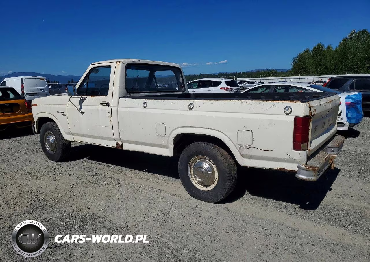 1980 Ford F 250 VIN:F25ERHG1664 - 2