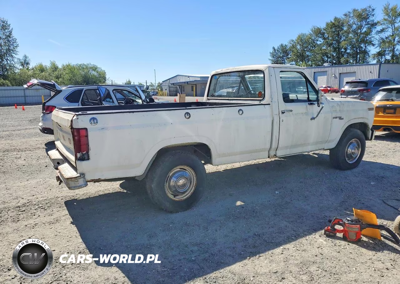 1980 Ford F 250 VIN:F25ERHG1664 - 3