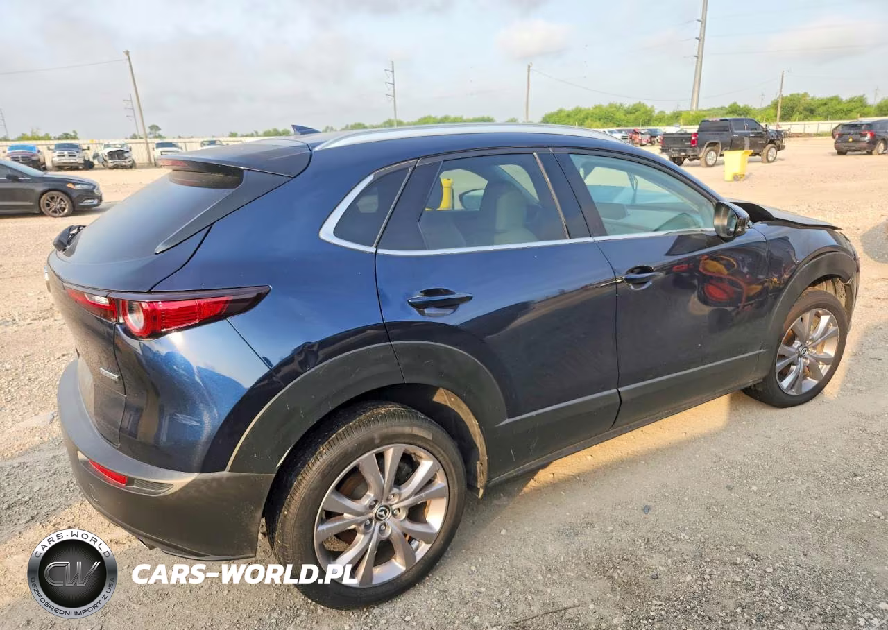 2020 Mazda Cx-30 VIN:3MVDMBEM5LM124472 - 3