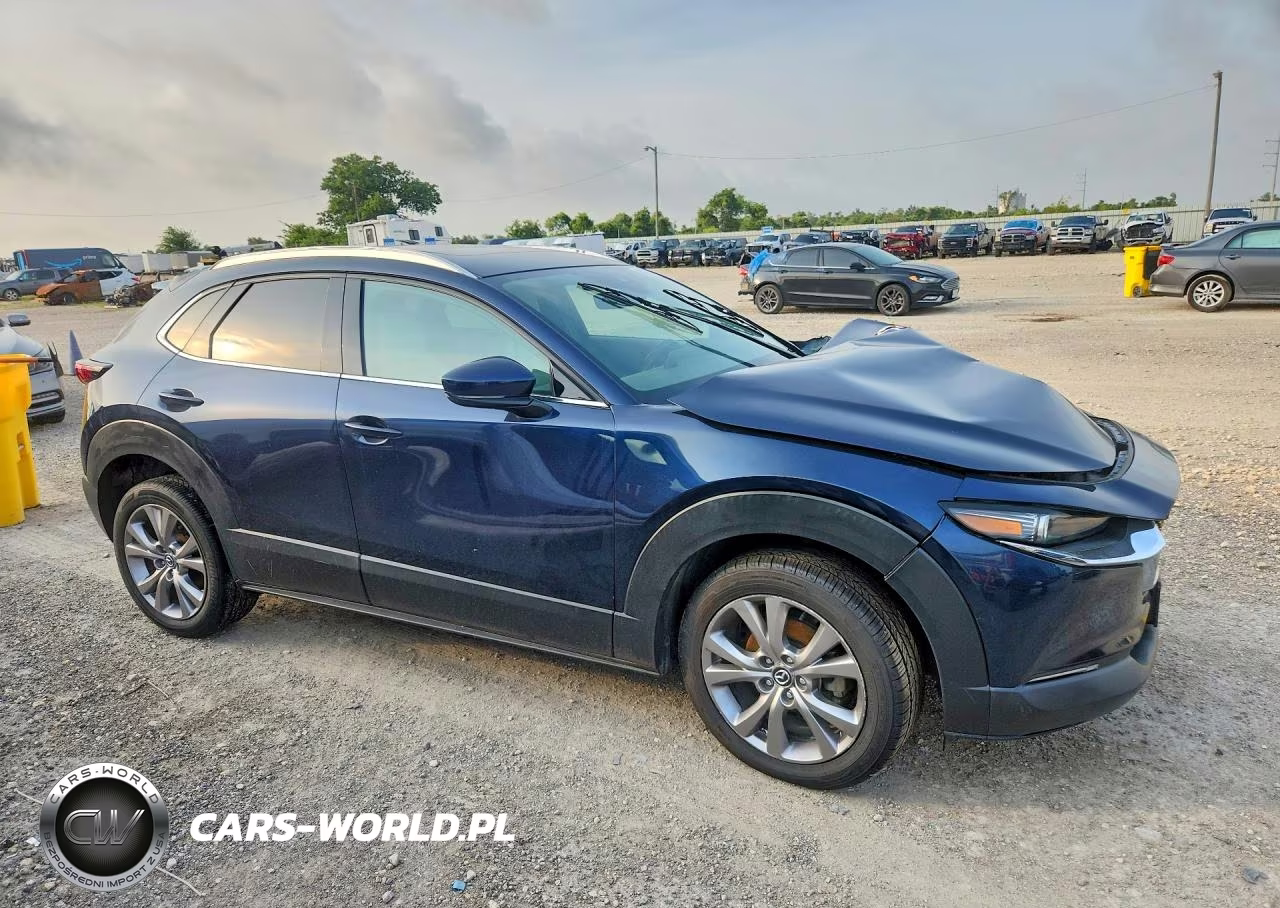 2020 Mazda Cx-30 VIN:3MVDMBEM5LM124472 - 4