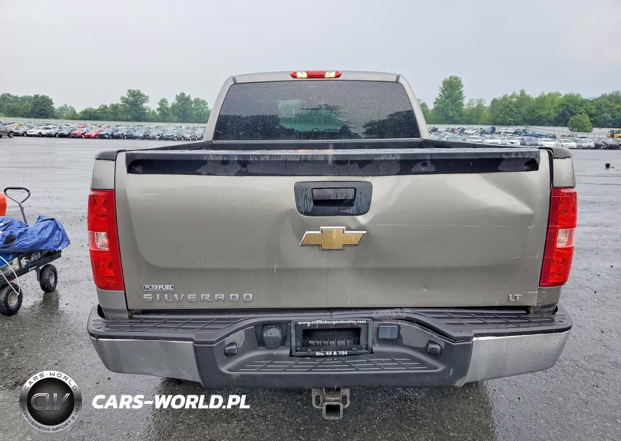 2009 Chevrolet Silverado K1500 Lt VIN:2GCEK290991117253 - 6