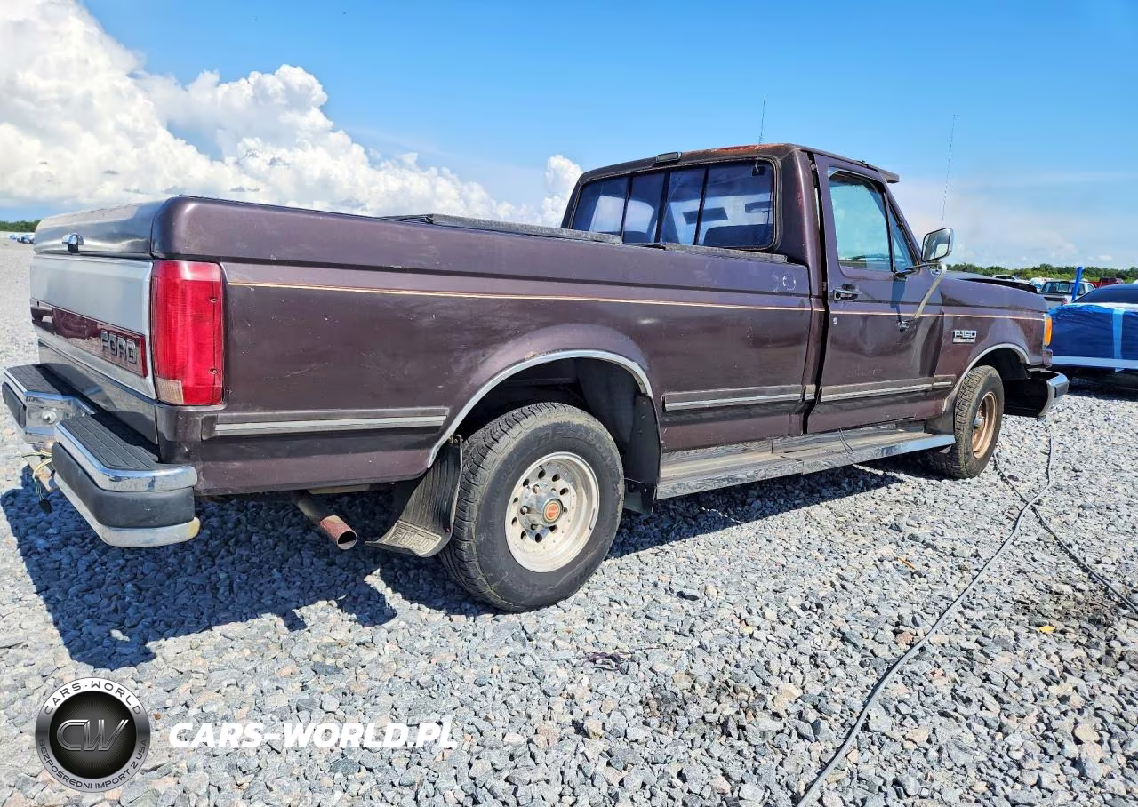 1991 Ford F150 VIN:1FTDF15Y2MNA96792 - 3