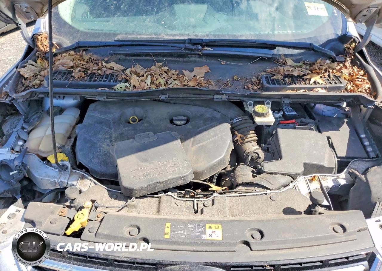 2014 Ford Escape VIN:1FMCU0J99EUD67182 - 12