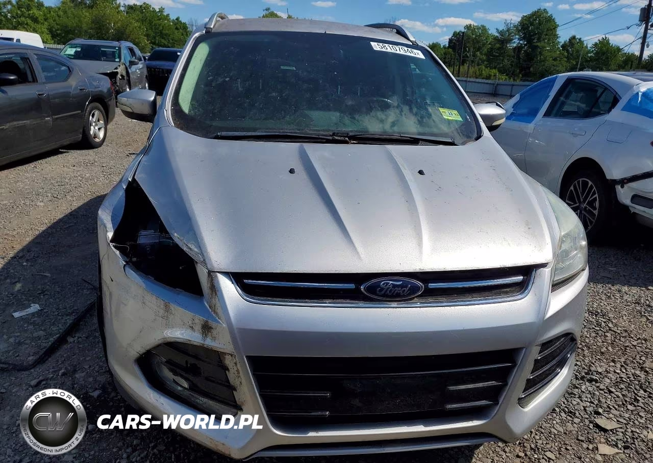 2014 Ford Escape VIN:1FMCU0J99EUD67182 - 5