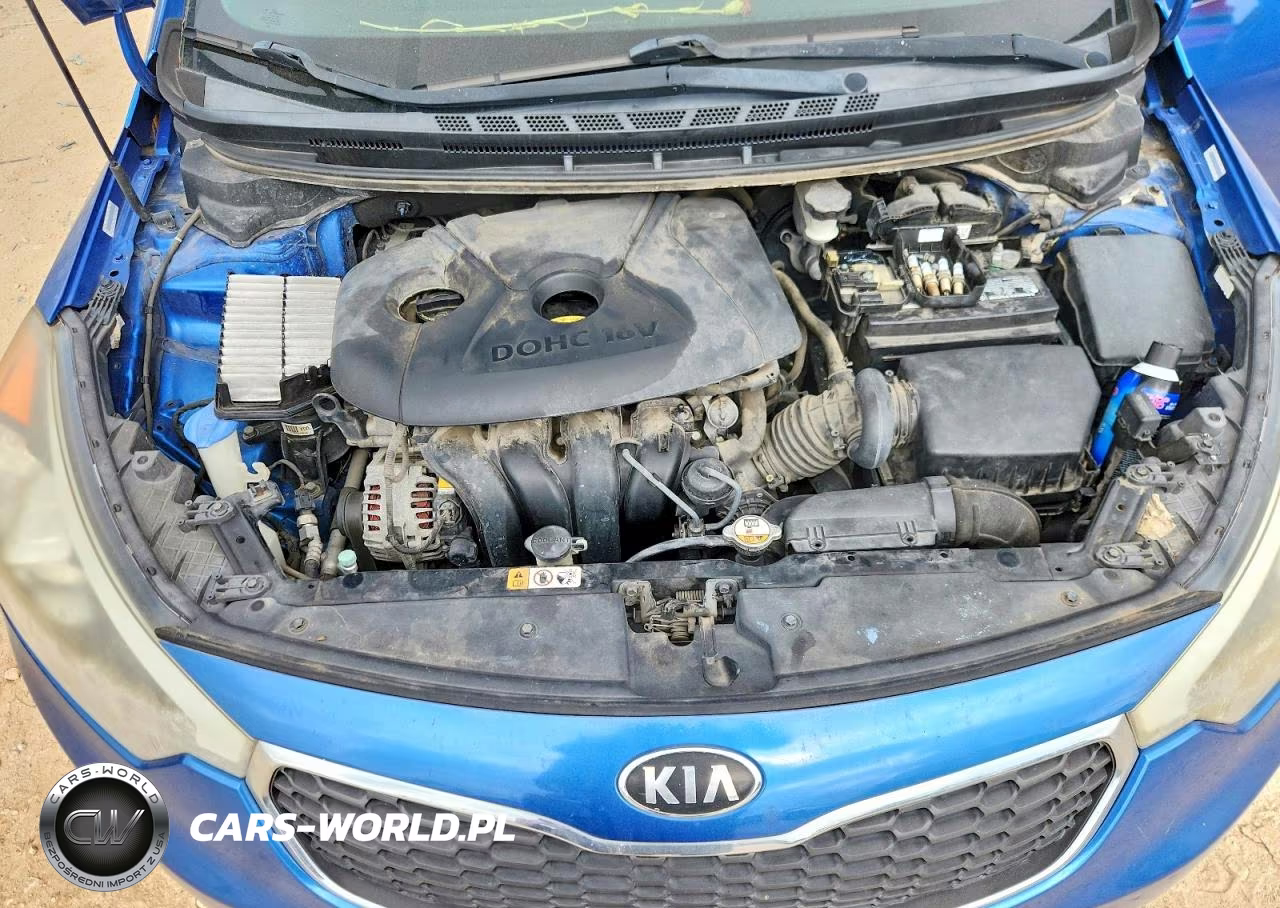 2015 Kia Forte VIN:KNAFX4A63F5321104 - 11
