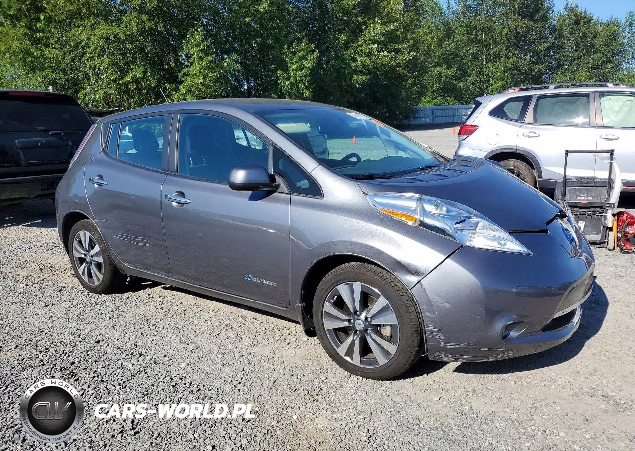 2016 Nissan Leaf Sv VIN:1N4BZ0CP2GC302797 - 4