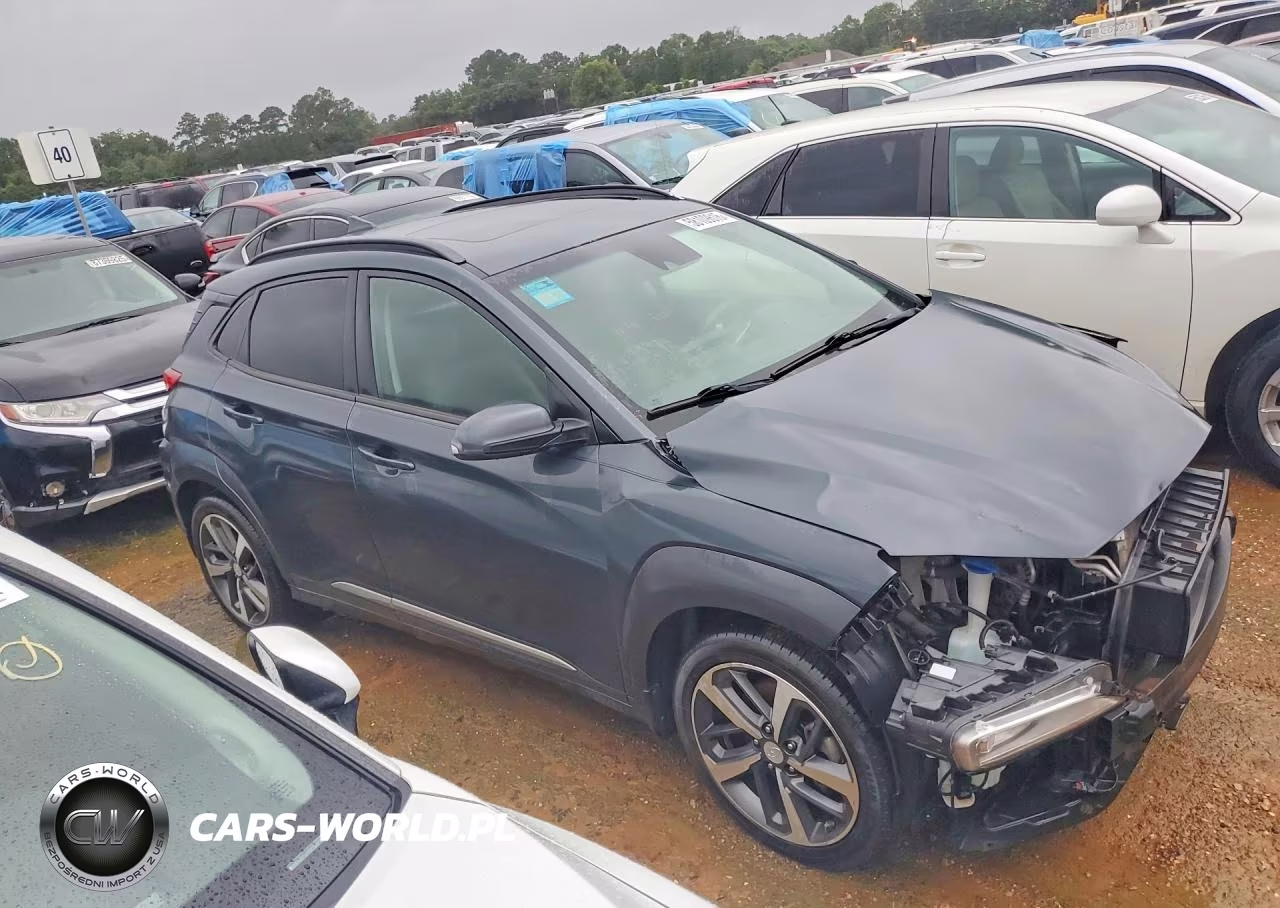 2019 Hyundai Kona Limited VIN:KM8K33A54KU201788 - 4