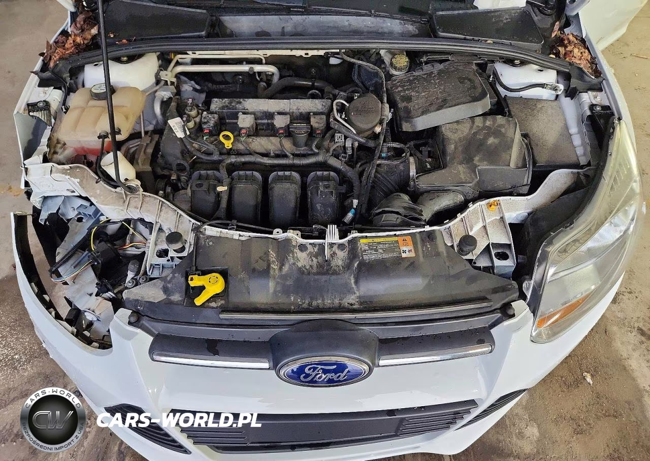 2013 Ford Focus Se VIN:1FADP3F20DL168786 - 11
