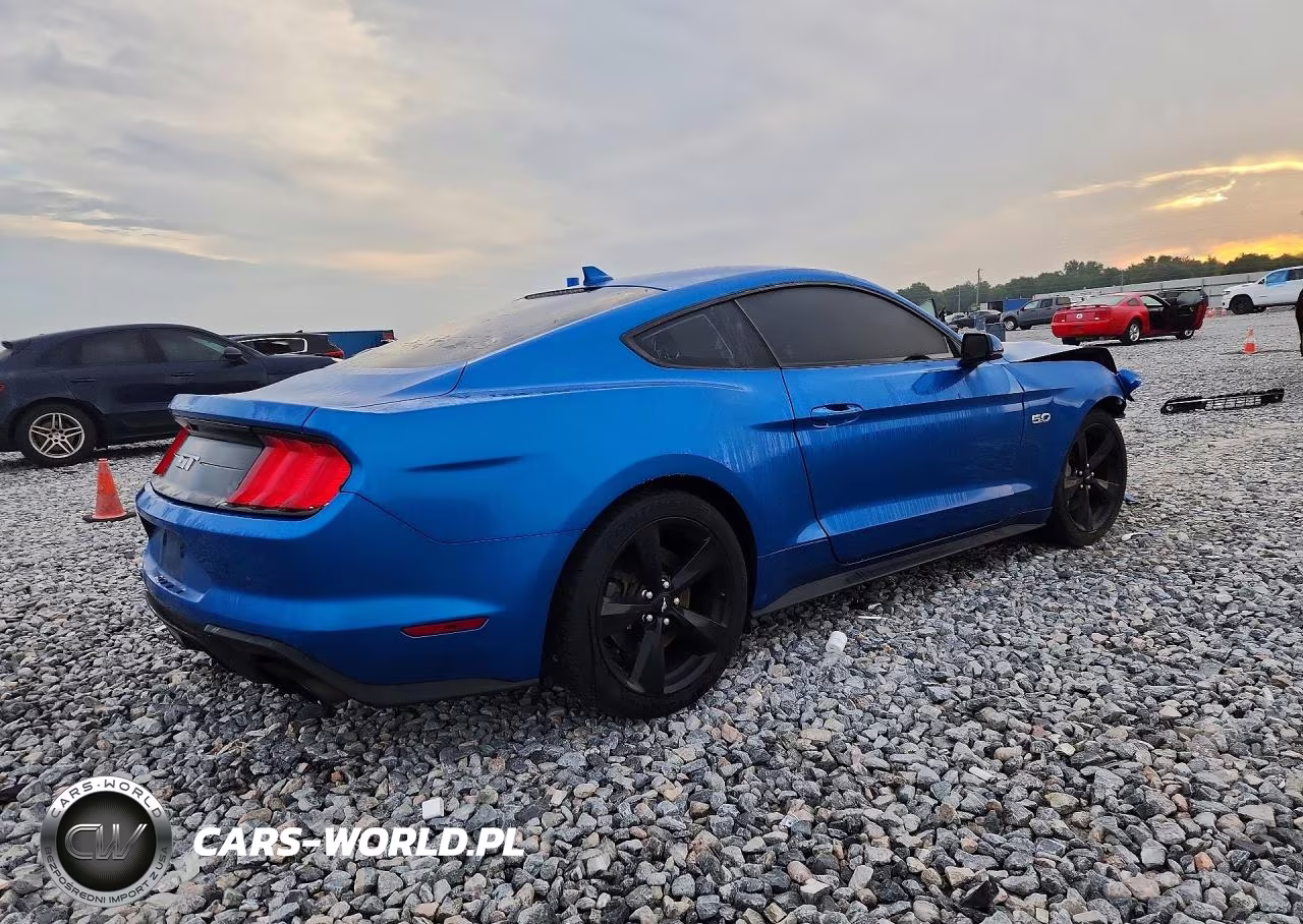 2021 Ford Mustang Gt VIN:1FA6P8CF1M5153862 - 3