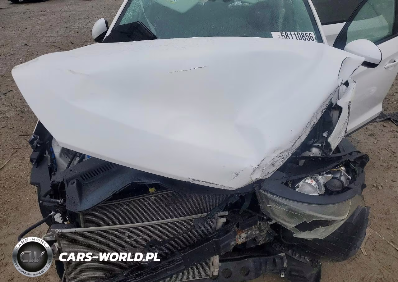 2019 Hyundai Tucson Value VIN:KM8J33A46KU895418 - 12