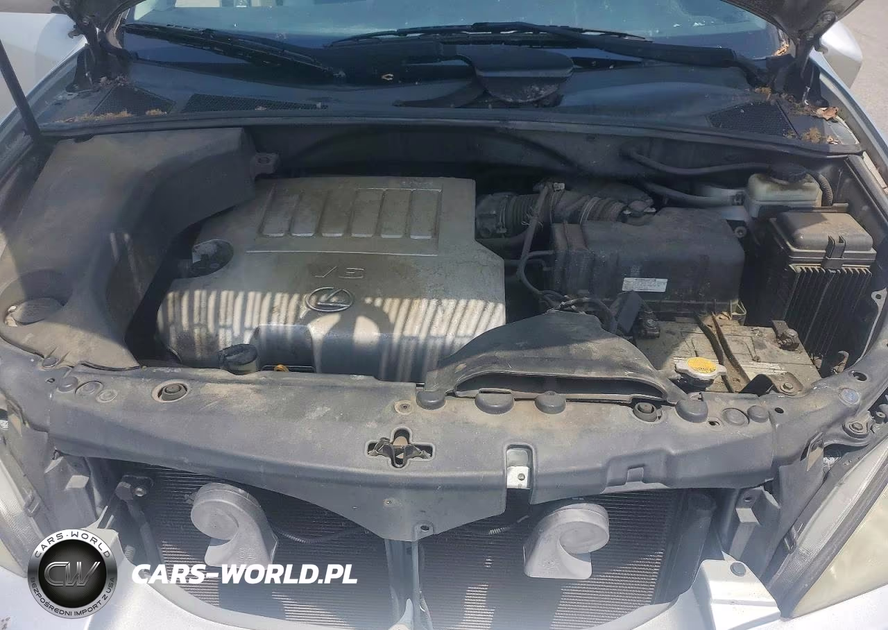 2007 Lexus Rx 350 VIN:2T2GK31U67C003539 - 12