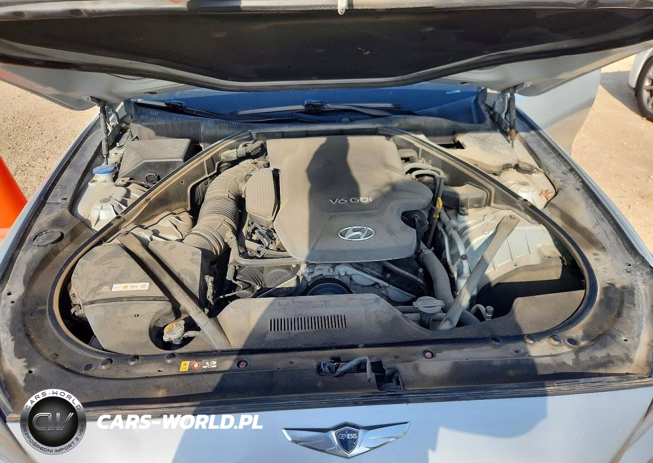 2015 Hyundai Genesis 3.8L VIN:KMHGN4JE6FU067636 - 11