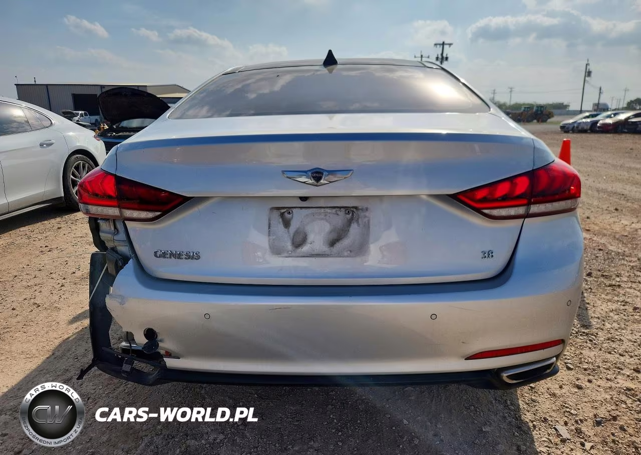 2015 Hyundai Genesis 3.8L VIN:KMHGN4JE6FU067636 - 6