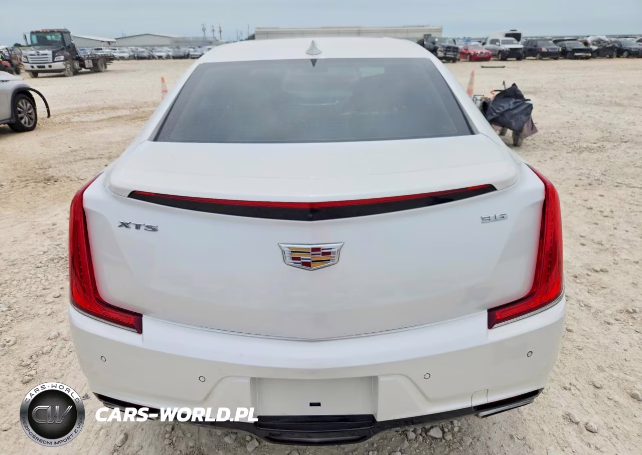 2019 Cadillac Xts Luxury VIN:2G61M5S36K9100628 - 6