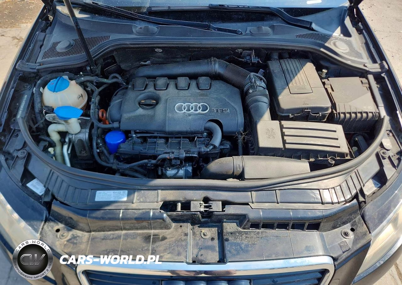 2011 Audi A3 Premium Plus VIN:WAUMFAFMXBA081048 - 11