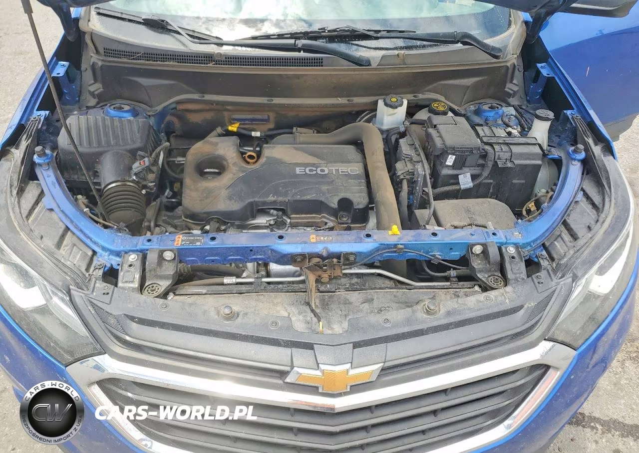 2019 Chevrolet Equinox Ls VIN:3GNAXHEV3KS593438 - 12
